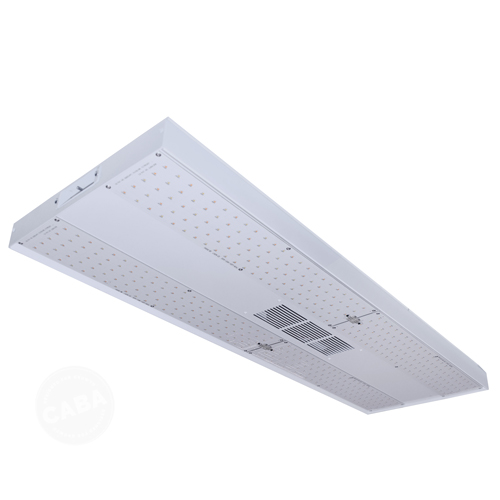 CTV-185 - Veg Light - 185W